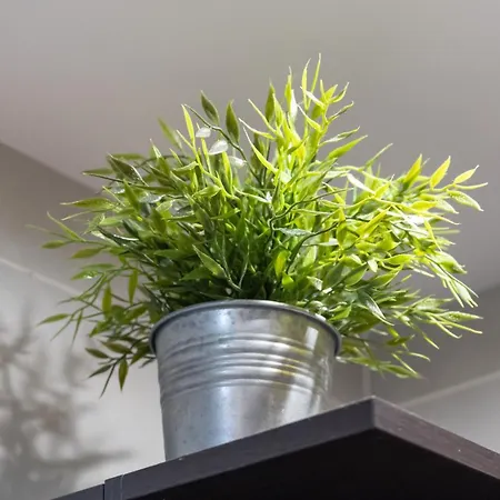 Lägenhet Star Paradise *